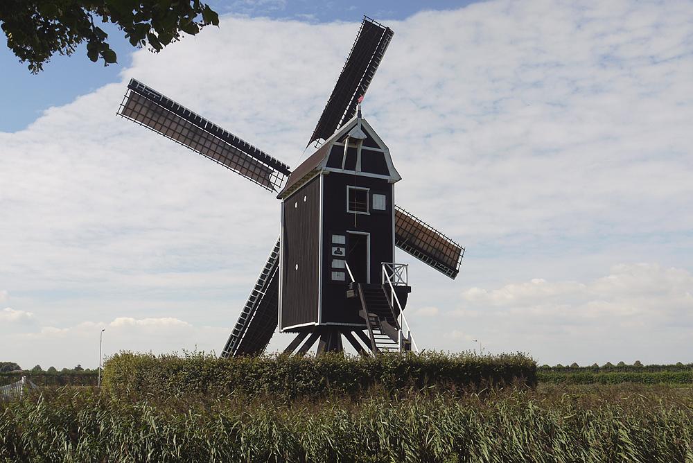 3, Molen 10203 De Hoed (Waarde), Matthieu Hoogduin (1-9-2012) | Database Nederlandse molens