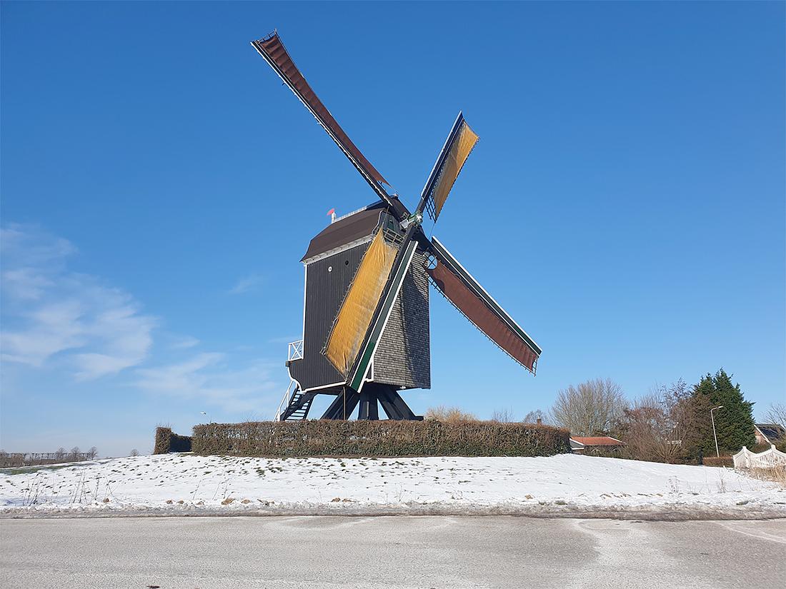 4, Molen 10203 De Hoed (Waarde), Michel Dellebeke (13-2-2021) | Database Nederlandse molens