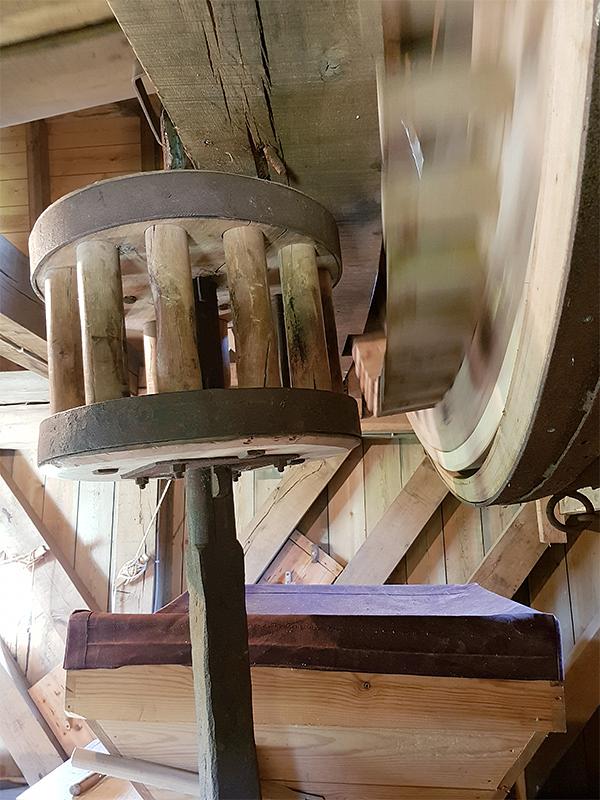 14, Molen 10203 De Hoed (Waarde), Pieter Zuijkerbuijk (26-6-2019) | Database Nederlandse molens