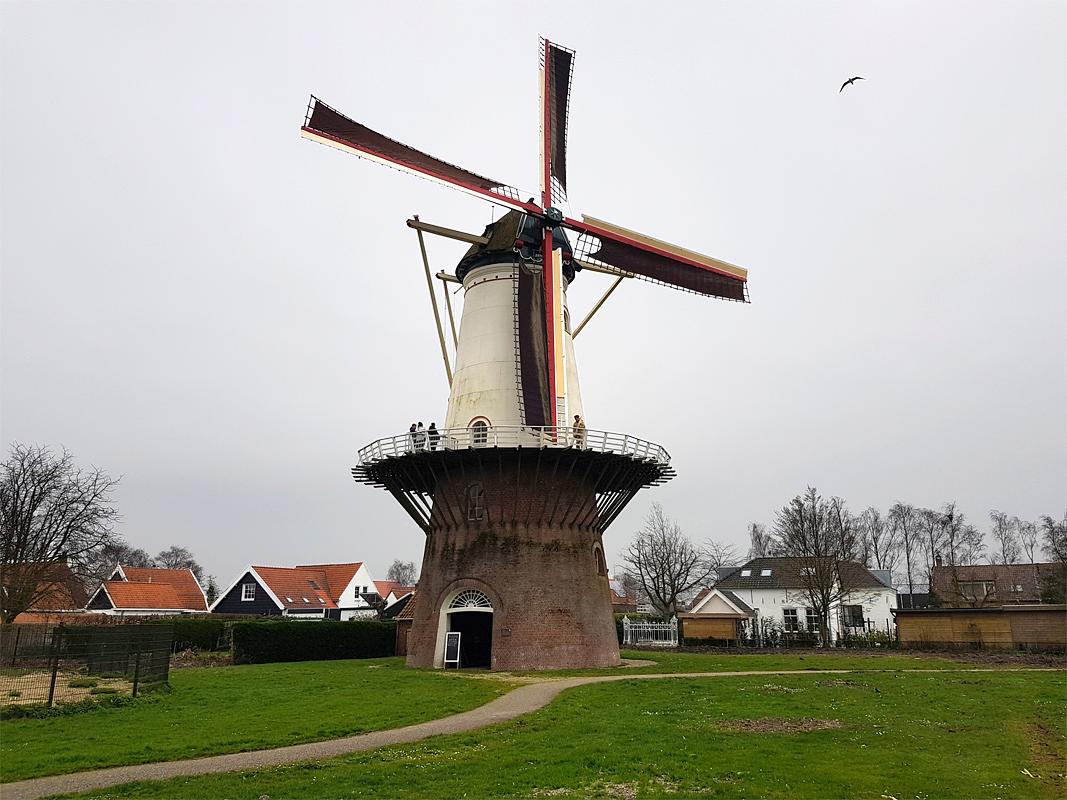 1, Molen 03536 Aeolus (Wemeldinge), Pieter Zuijkerbuijk (23-3-2019) | Database Nederlandse molens
