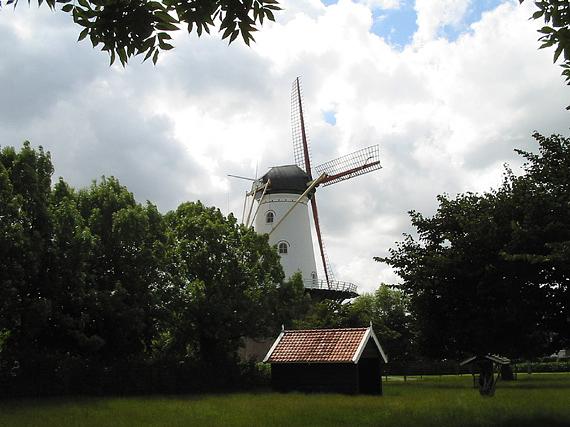 3, Molen 03536 Aeolus (Wemeldinge), Rob Pols (6-8-2005) | Database Nederlandse molens