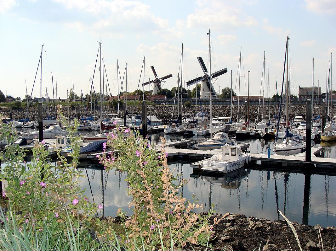 5, Molen 03536 Aeolus (Wemeldinge), Jan de Witte (1-9-2018) | Database Nederlandse molens
