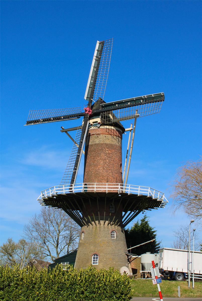 1, Molen 03540 De Hoop (Wolphaartsdijk), Tony Hop (26-2-2022)De molen buiten bedrijf anno 2022. Het gevlucht dient vervangen te worden, de eigenaar verwacht dat de restauratie in het najaar gaat plaatsvinden. Daarna hoopt hij (op bescheiden schaal) opnieuw graan te gaan malen met de molen. | Database Nederlandse molens