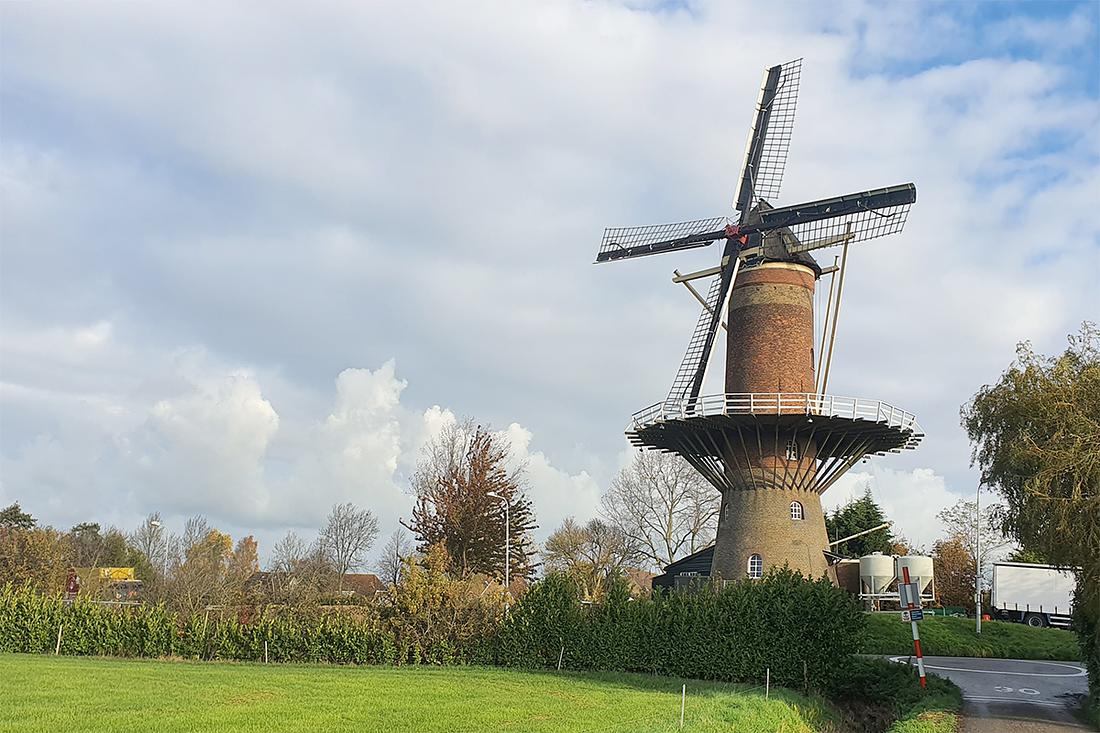 2, Molen 03540 De Hoop (Wolphaartsdijk), Pieter Zuijkerbuijk (9-11-2019) | Database Nederlandse molens