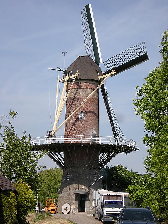 3, Molen 03540 De Hoop (Wolphaartsdijk), Marianne Doense-van Doornik (17-5-2014) | Database Nederlandse molens