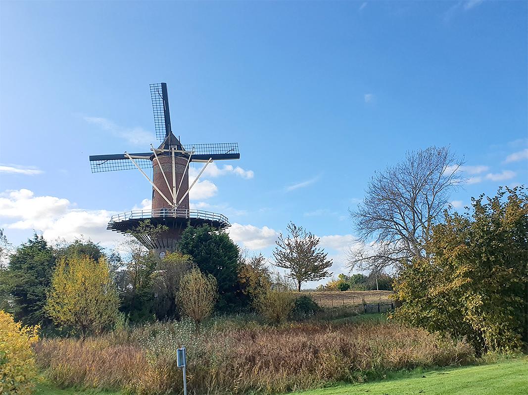 4, Molen 03540 De Hoop (Wolphaartsdijk), Pieter Zuijkerbuijk (9-11-2019) | Database Nederlandse molens