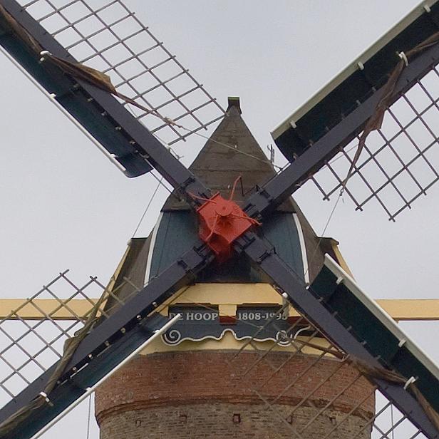 8, Molen 03540 De Hoop (Wolphaartsdijk), Bernhard Scholten (26-07-2011) | Database Nederlandse molens