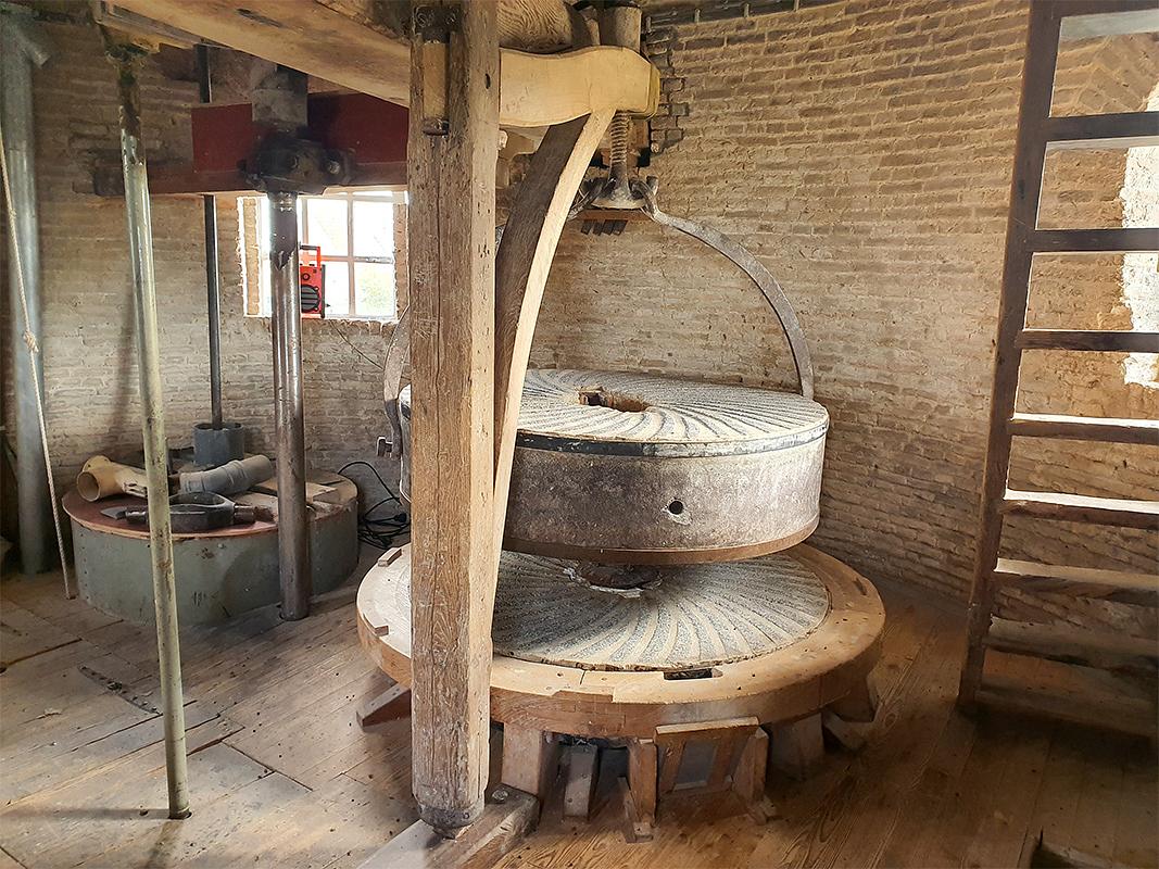14, Molen 03540 De Hoop (Wolphaartsdijk), Pieter Zuijkerbuijk (9-11-2019) | Database Nederlandse molens