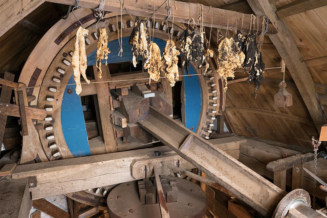 20, Molen 01877 Den Haas (Zierikzee), Marcel van Nies (8-9-2018) | Database Nederlandse molens