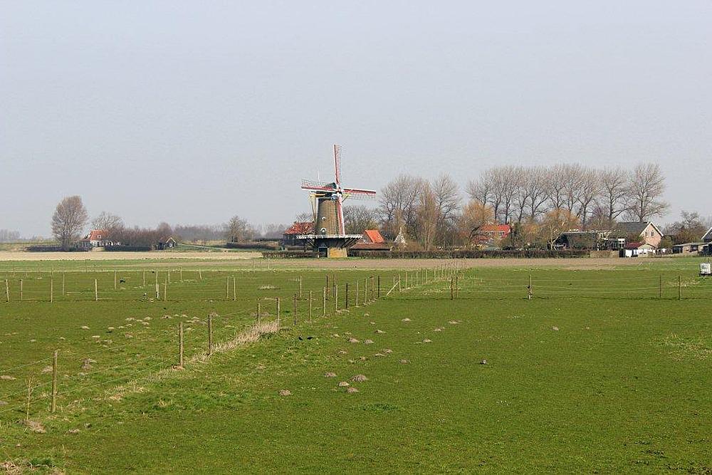 4, Molen 04905 De Korenbloem (Zonnemaire), Frits Kruishaar (24-3-2012). | Database Nederlandse molens