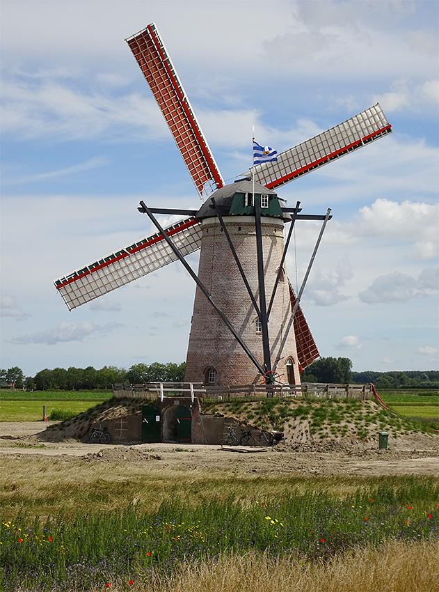 2, Molen 03601 Zwinnemolen (Zuidzande), Jan de Witte (22-7-2020)Huidige stand van zaken na de restauratie. | Database Nederlandse molens