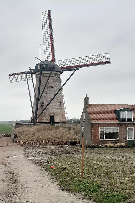 3, Molen 03601 Zwinnemolen (Zuidzande), Tim Grootenboer (26-12-2020) | Database Nederlandse molens