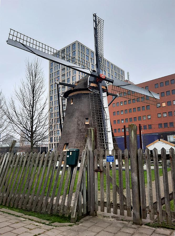 Molen 00973 Laakmolen / Galgemolen (Den Haag / 's-Gravenhage), Dean Tork (18-3-2021)Duidelijk te zien dat de molen erg in het nauw staat. | Database Nederlandse molens