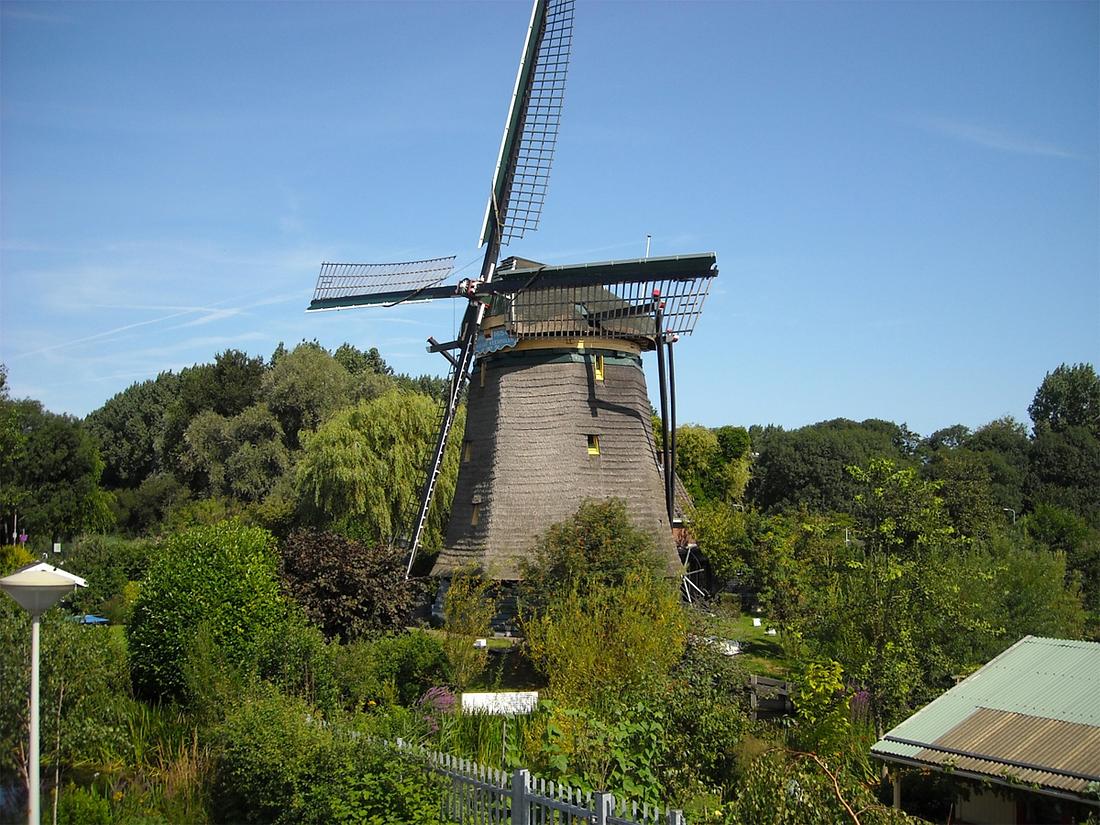 1, Molen 00975 Nieuwe Veenmolen / Boschmolen (Den Haag / 's-Gravenhage), Charles Stokman (9-8-2010) | Database Nederlandse molens