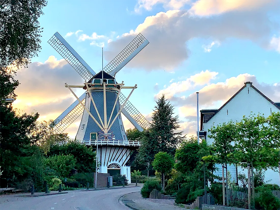 3, Molen 02773 (Naamloos) (Gravenzande, 's-), Toby de Kok (11-07-2020) | Database Nederlandse molens