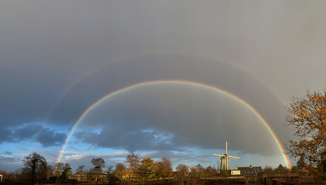 6, Molen 02773 (Naamloos) (Gravenzande, 's-), Toby de Kok (29-11-2019) | Database Nederlandse molens