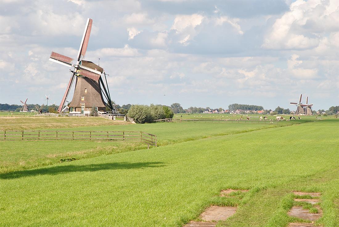 1, Molen 00050 Molen No.3 (Aarlanderveen), Kees Kammeraat (28-8-2015) | Database Nederlandse molens