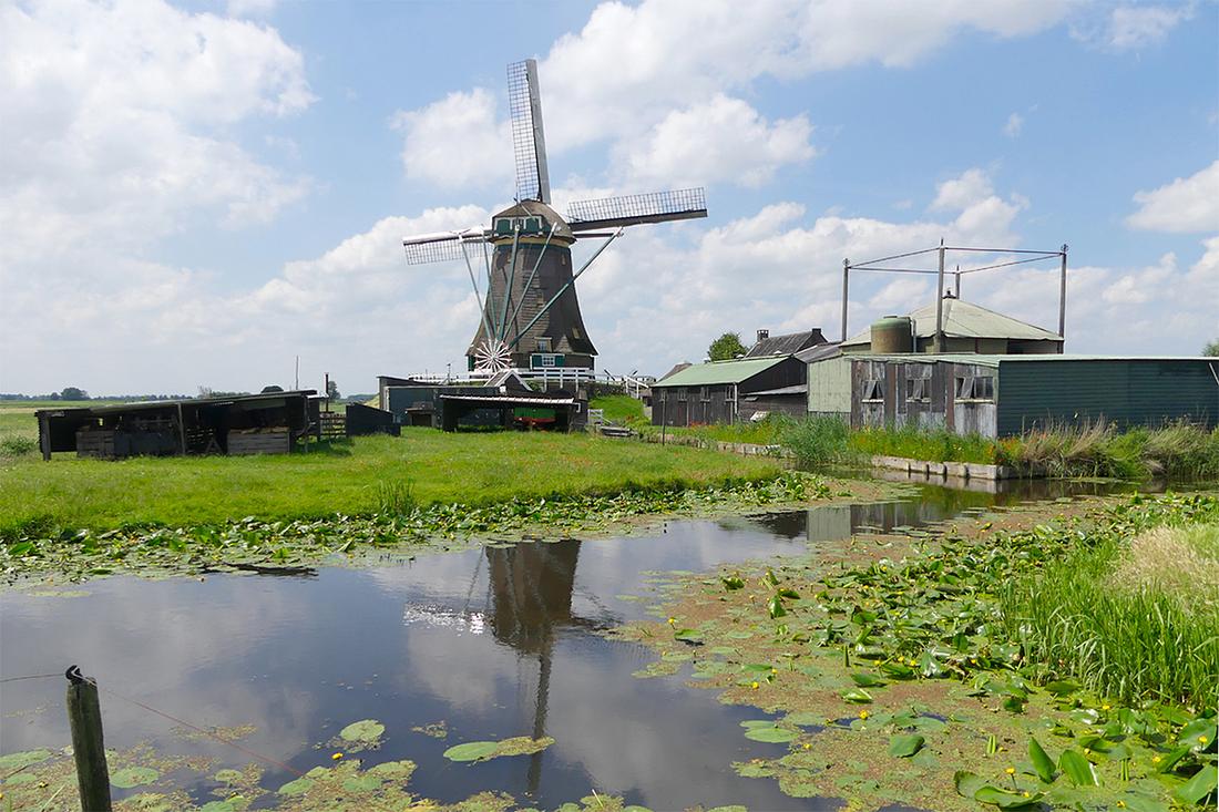 3, Molen 00052 De Putmolen / Molen Nr.4 (Aarlanderveen), Piet Glasbergen (22-6-2019) | Database Nederlandse molens
