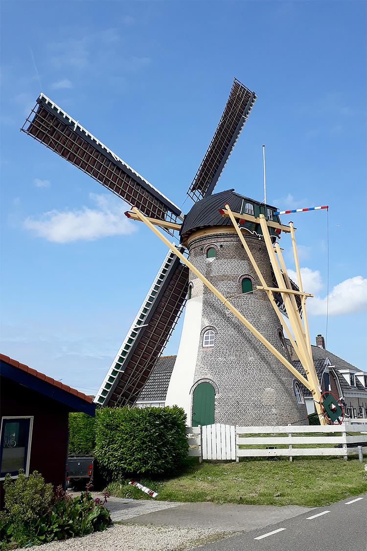 2, Molen 01912 De Hoop (Abbenbroek), René Kleijn (31-5-2019)De molen na een schilderbeurt waarbij zoveel mogelijk de oude kleuren zijn hersteld. Zo loopt de bies van de achterbaard bijvoorbeeld weer door over het achterkeuvelens en vormt het één geheel. | Database Nederlandse molens
