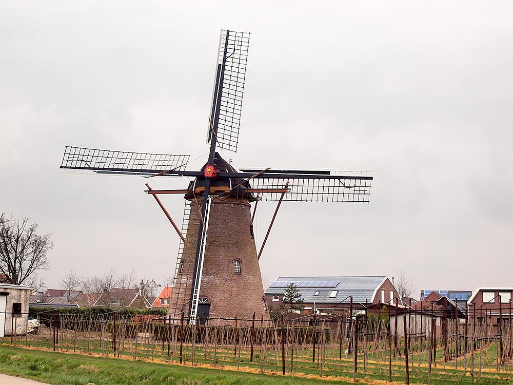 1, Molen 01649 De Rozeboom (Krabbendijke), Rob Van Rompaey (18-3-2014) | Database Nederlandse molens