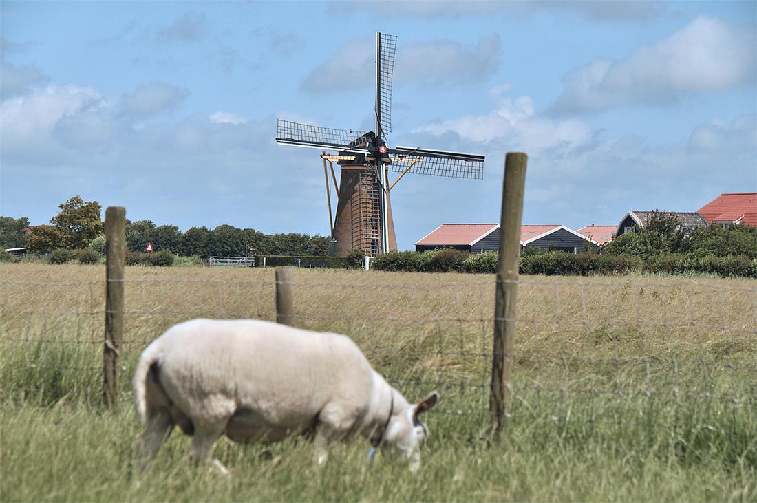 3, Molen 03557 Korenhoop (Meliskerke), Nancy Middelkoop (11-7-2012) | Database Nederlandse molens