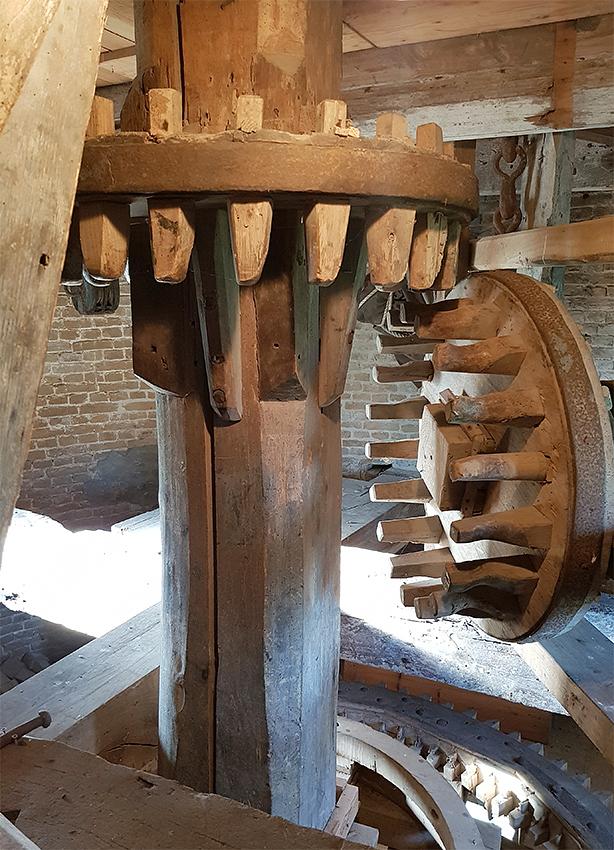 13, Molen 03557 Korenhoop (Meliskerke), Pieter Zuijkerbuijk (19-1-2019) | Database Nederlandse molens