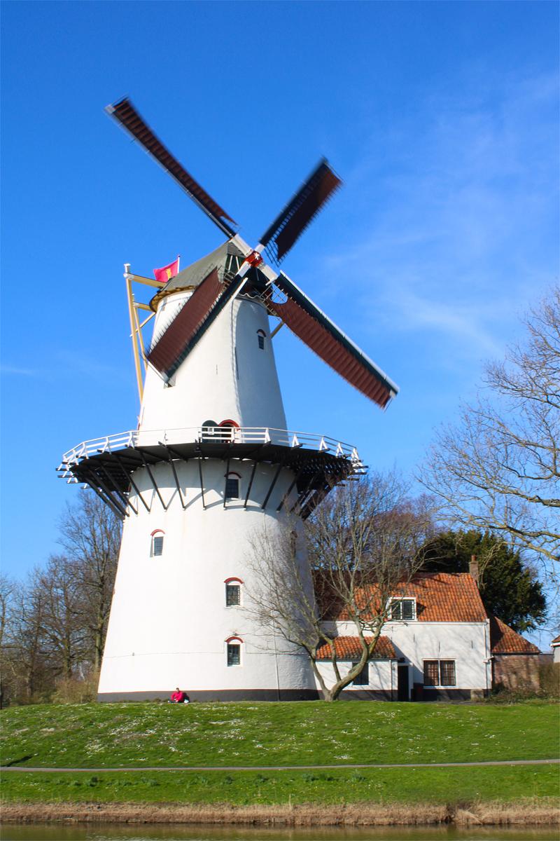 Molen 01662 De Hoop (Middelburg), Tony Hop (26-2-2022) | Database Nederlandse molens