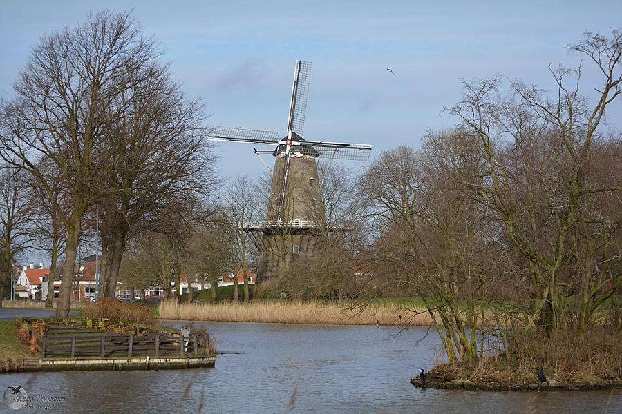 1, Molen 03320 De Seismolen (Middelburg), Jacco Vasseur (8-1-2014). | Database Nederlandse molens