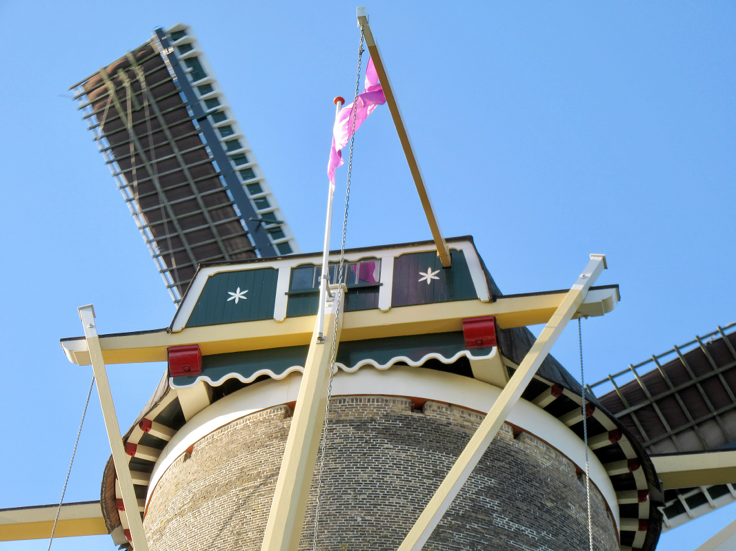 7, Molen 03320 De Seismolen (Middelburg), Frank Moerland (2-9-2017) | Database Nederlandse molens
