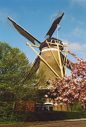 4, Molen 01663 Ons Genoegen (Middelburg), Jeroen van Dijke (voorjaar 2005). | Database Nederlandse molens