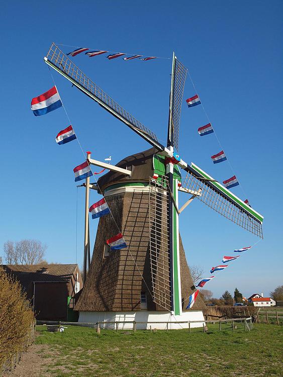 4, Molen 04898 De Zwaan (Kerkwerve), Tijdens de inhuldigingsdag van koning Willem-Alexander.  Jeroen van Dijke (30-4-2013). | Database Nederlandse molens