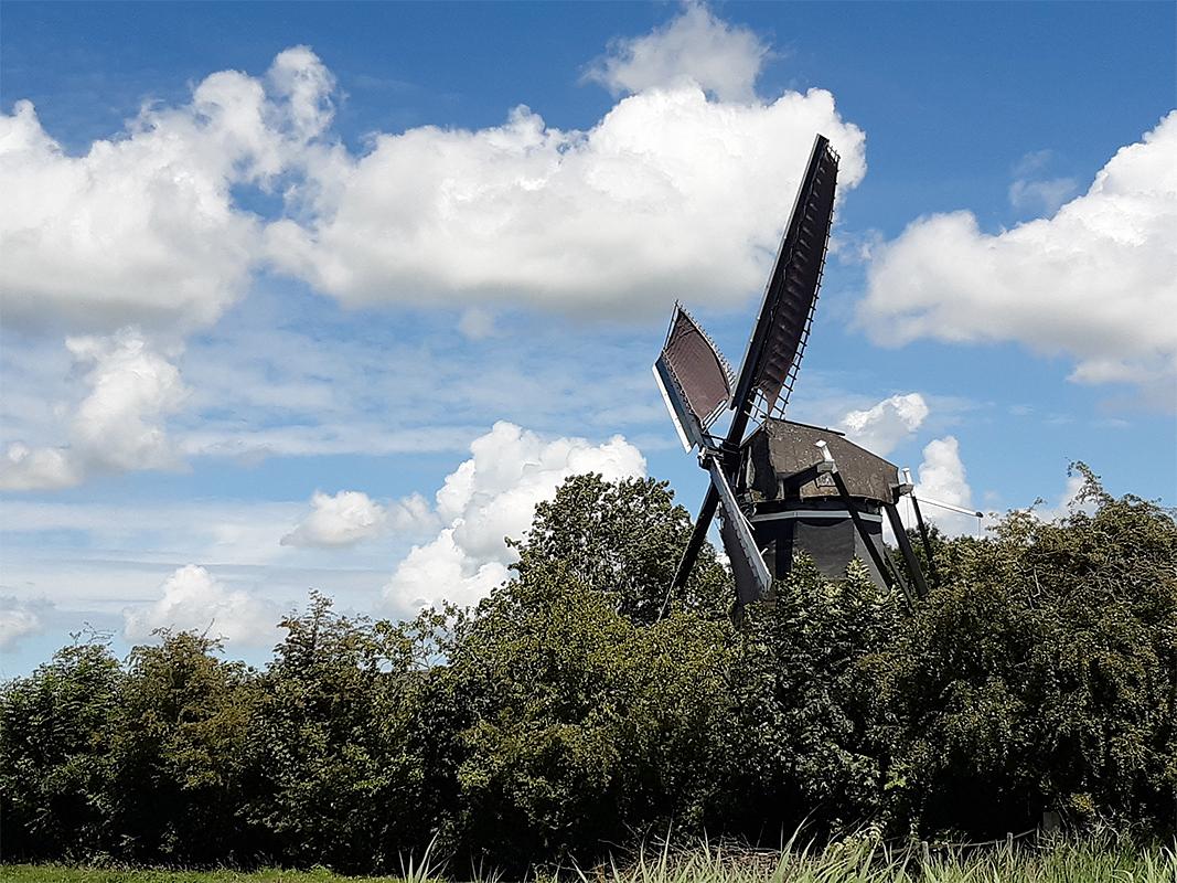 4, Molen 03566 De Poel (Nisse), Jeroen van Dijke (7-7-2020)De molen is minder zichtbaar door opschietend groen. | Database Nederlandse molens