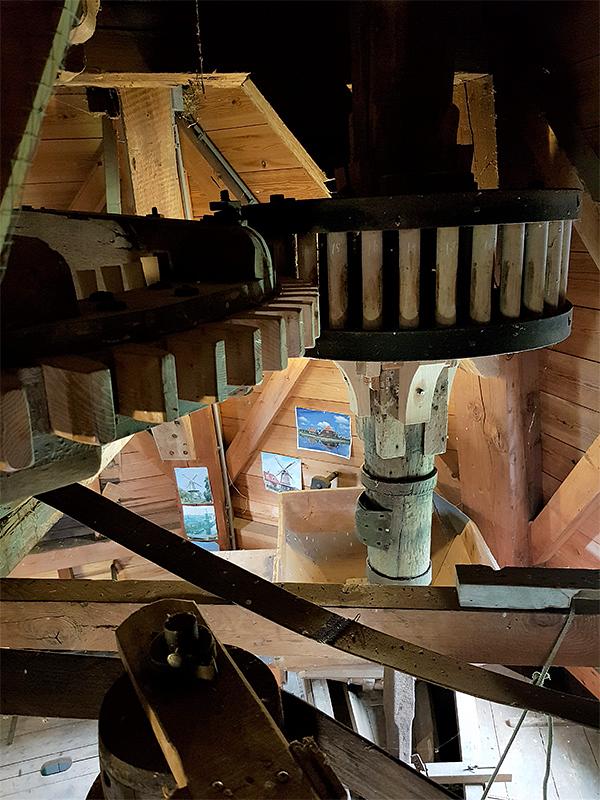 13, Molen 03566 De Poel (Nisse), Pieter Zuijkerbuijk (2-10-2019) | Database Nederlandse molens