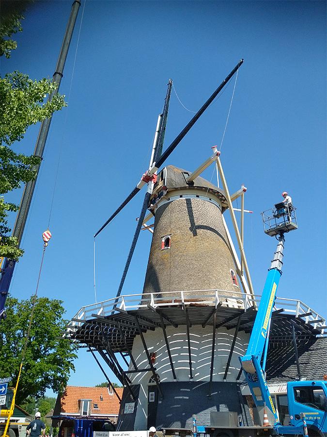 3, Molen 01664 De Pere (Oost-Souburg), Patrick Desmedt (31-5-2021)Op 31-5-2021 zijn de nieuwe roeden gestoken. | Database Nederlandse molens