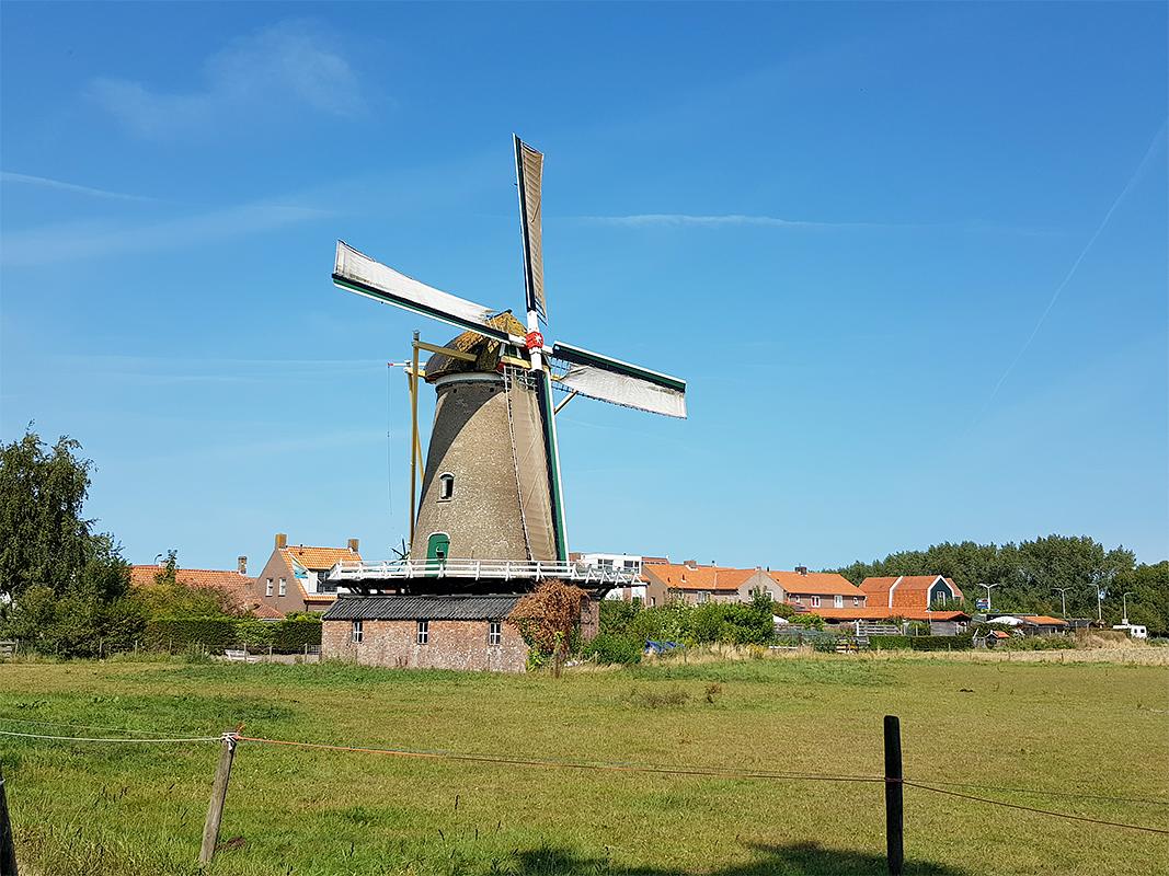1, Molen 03548 d'Arke (Oostkapelle), Pieter Zuijkerbuijk (31-8-2019) | Database Nederlandse molens