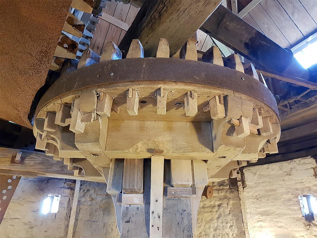 16, Molen 03548 d'Arke (Oostkapelle), Pieter Zuijkerbuijk (31-8-2019) | Database Nederlandse molens