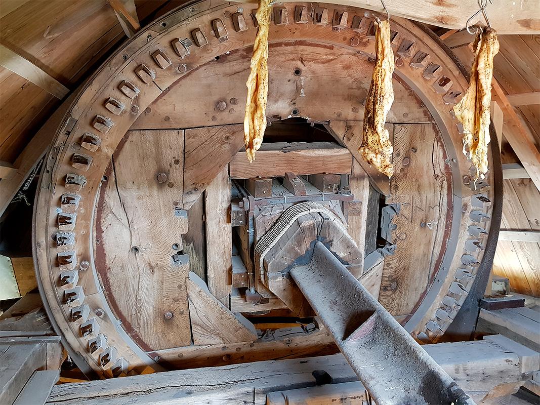20, Molen 03548 d'Arke (Oostkapelle), Pieter Zuijkerbuijk (31-8-2019)Het bijna 350 jaar oude bovenwiel, compleet met inkepingen en boutgaten van de vroegere uitvoering als spaakwiel.  | Database Nederlandse molens