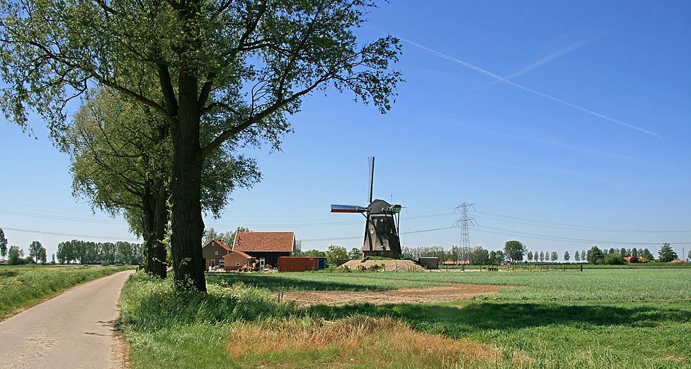 4, Molen 04896 De Blazekop (Ovezande), Ton Koorevaar (25-5-2012) | Database Nederlandse molens