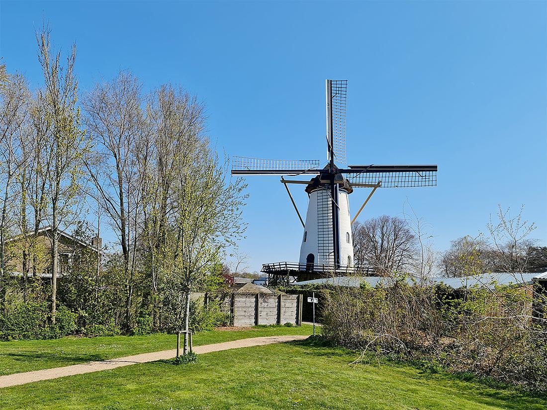 1, Molen 01648 De Witte Molen (Rilland-Bath), Pieter Zuijkerbuijk (17-4-2021) | Database Nederlandse molens