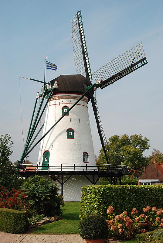 2, Molen 03533 De Korenbloem (Scherpenisse), Harmannus Noot (23-9-2014) | Database Nederlandse molens
