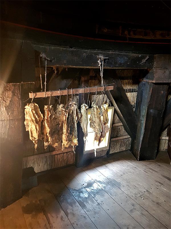 13, Molen 01484 Goudriaanse Molen (Goudriaan), Pieter Zuijkerbuijk (5-10-2019) | Database Nederlandse molens