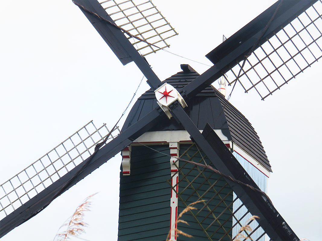 8, Molen 01486 Achterlandse Molen (Groot-Ammers), William Bouter (9-12-2017) | Database Nederlandse molens