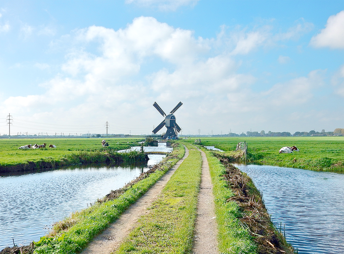 3, Molen 02530 Tiendwegse Molen (Giessendam), Tony Hop (14-10-2017) | Database Nederlandse molens