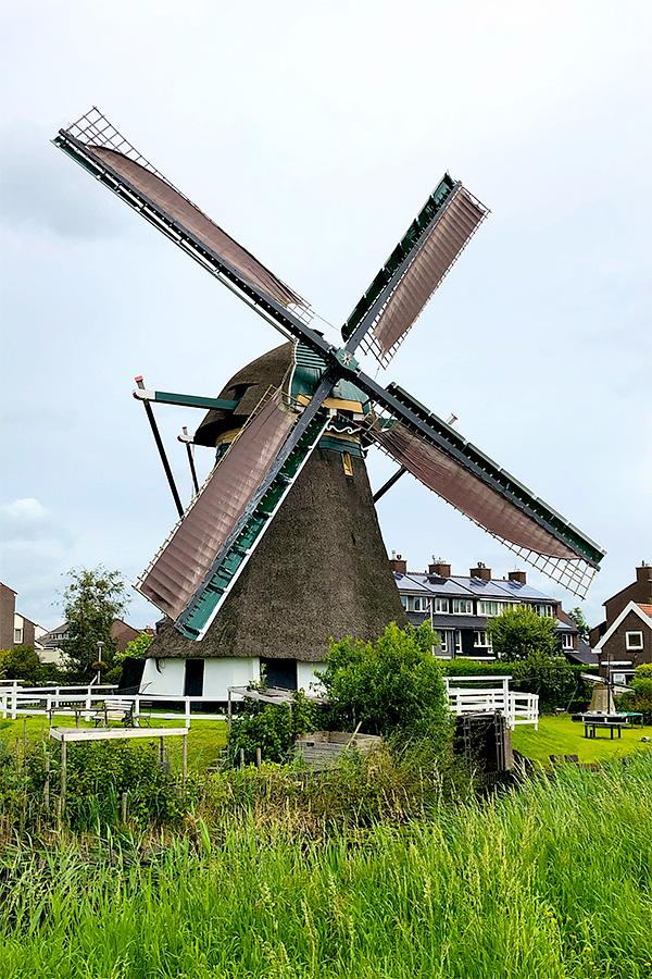 Molen 00060 Rijnenburgermolen (Hazerswoude), Frank Moerland (9-8-2021) | Database Nederlandse molens