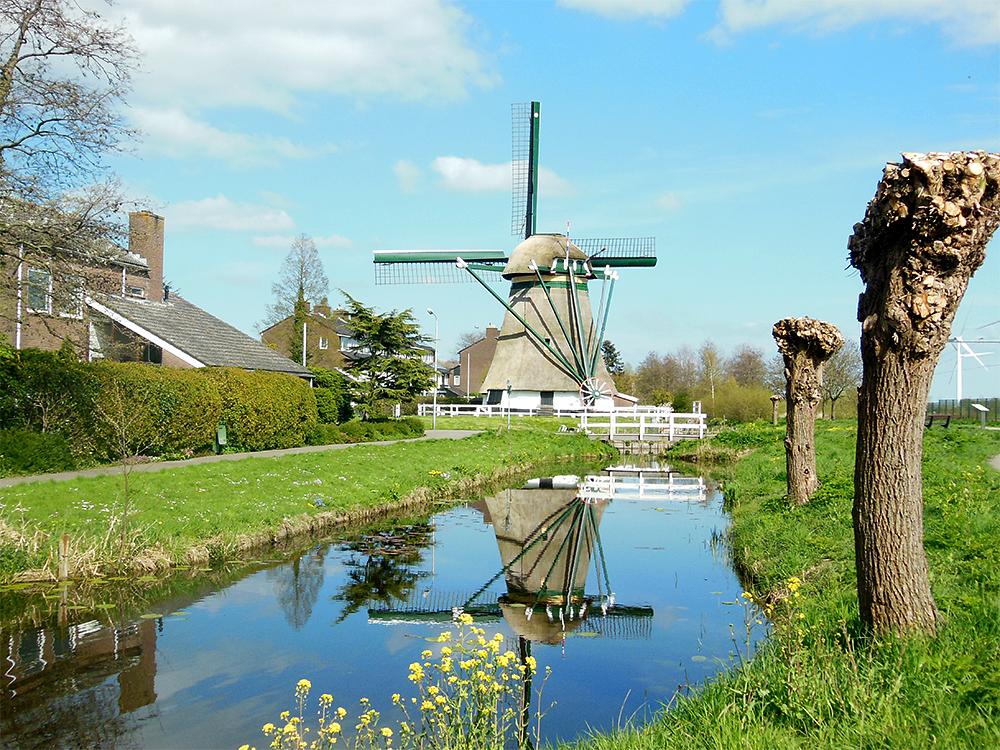 3, Molen 00060 Rijnenburgermolen (Hazerswoude), R. Kingma (19-4-2015) | Database Nederlandse molens
