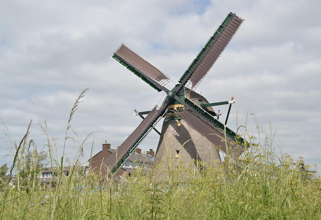 4, Molen 00060 Rijnenburgermolen (Hazerswoude), Rob Pols (31-5-2019) | Database Nederlandse molens