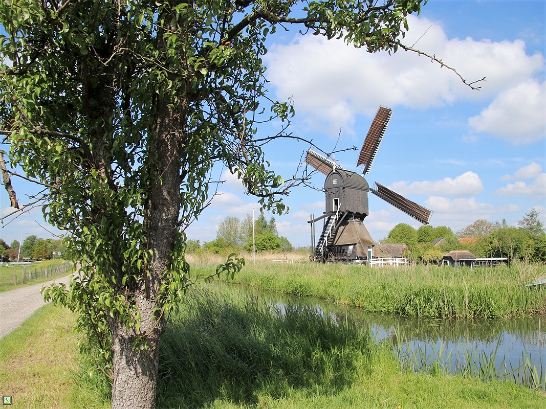3, Molen 01473 Hoekmolen (Hei- en Boeicop), Jan van Eijk (11-5-2019) | Database Nederlandse molens