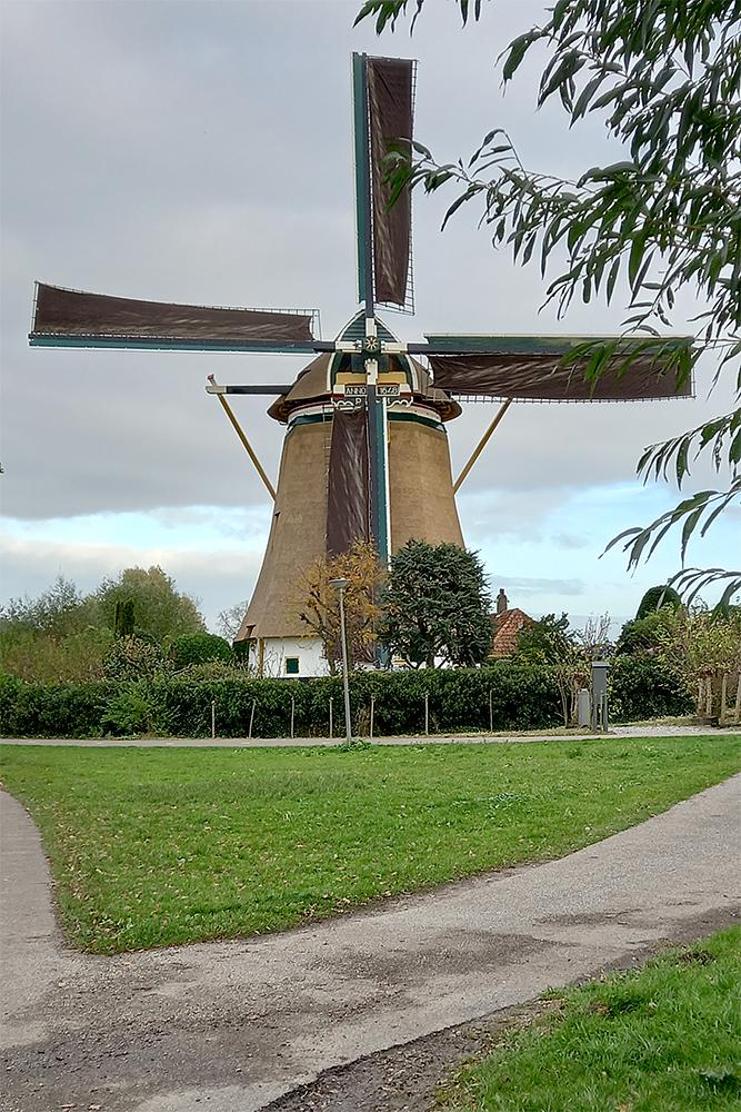 Molen 01764 De Prinsenmolen (Rotterdam), Cock Weerheim (8-11-2021)Na herstel weer met volle zeilen. | Database Nederlandse molens