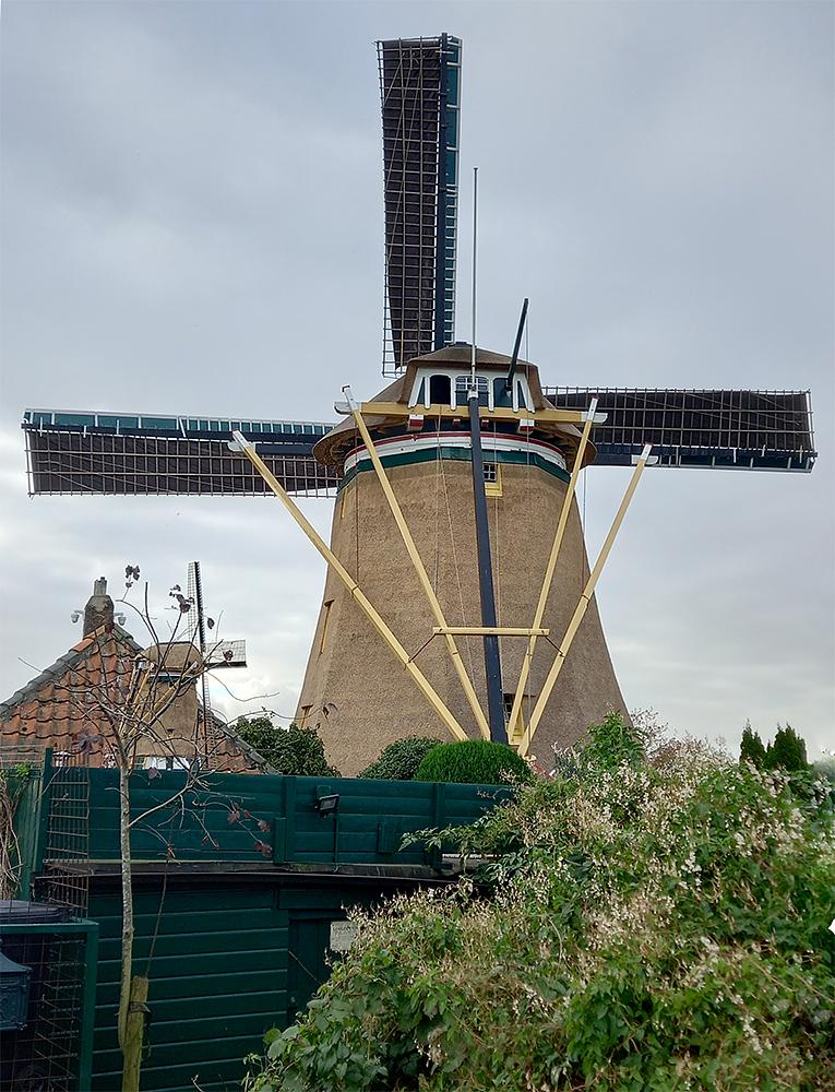 2, Molen 01764 De Prinsenmolen (Rotterdam), Cock Weerheim (8-11-2021)Molen voorzien van nieuw riet. | Database Nederlandse molens