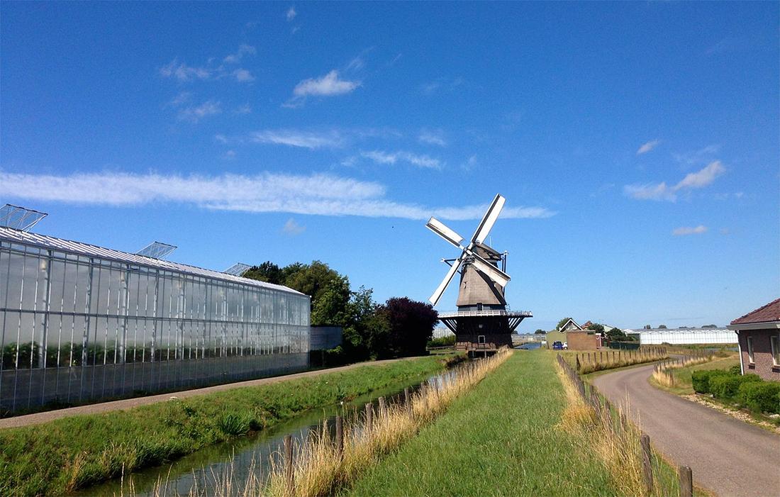 1, Molen 02772 De Nieuwlandse Molen (Hoek van Holland), Luc Ruijgt (19-7-2015) | Database Nederlandse molens
